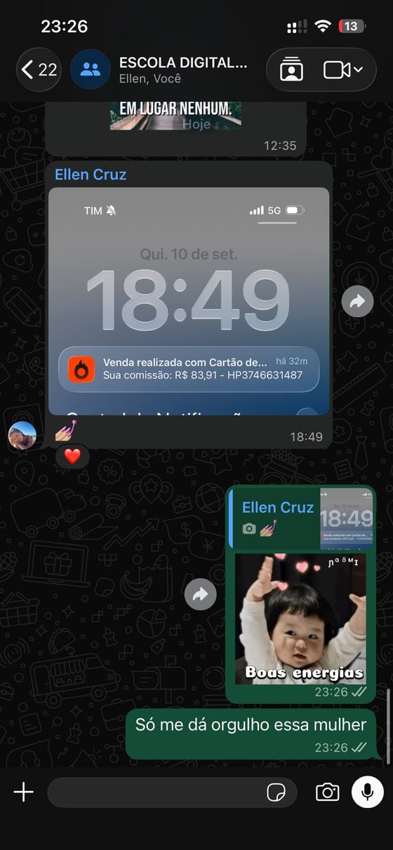 Print de conversa comemorando vendas